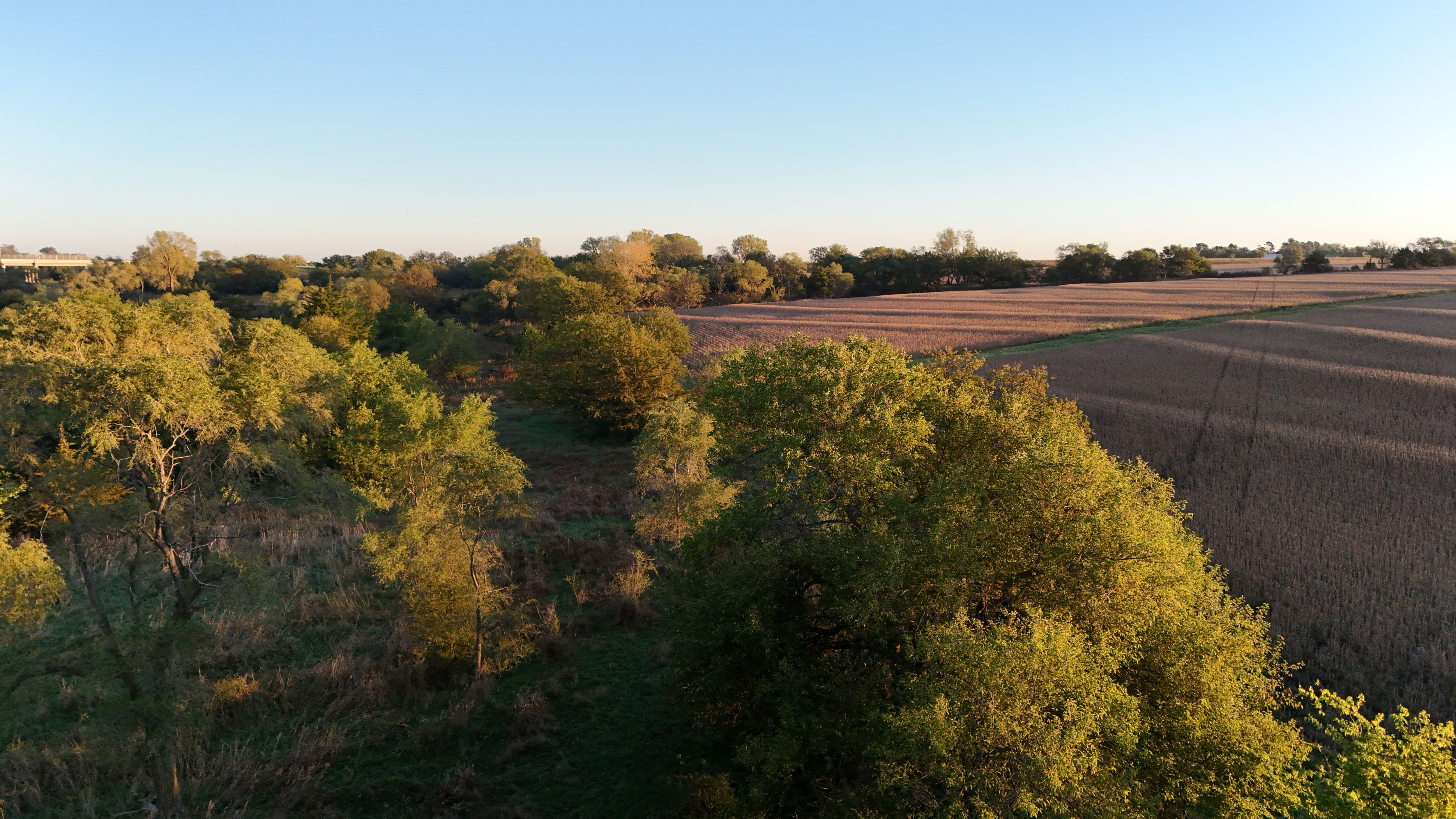 Listing Photo: lancaster-county-ne-125-acres (6)